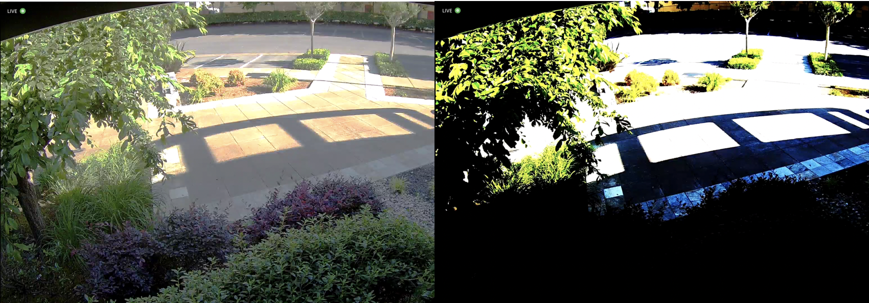Screen_Shot_2020-05-05_at_8.50.51_AM.png