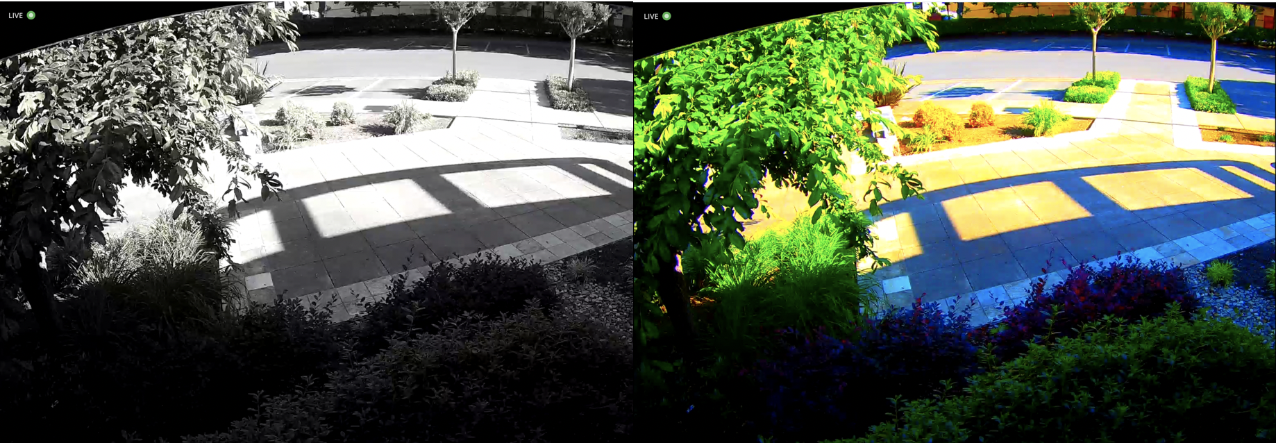 Screen_Shot_2020-05-05_at_8.52.52_AM.png